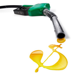 benzin1.jpg