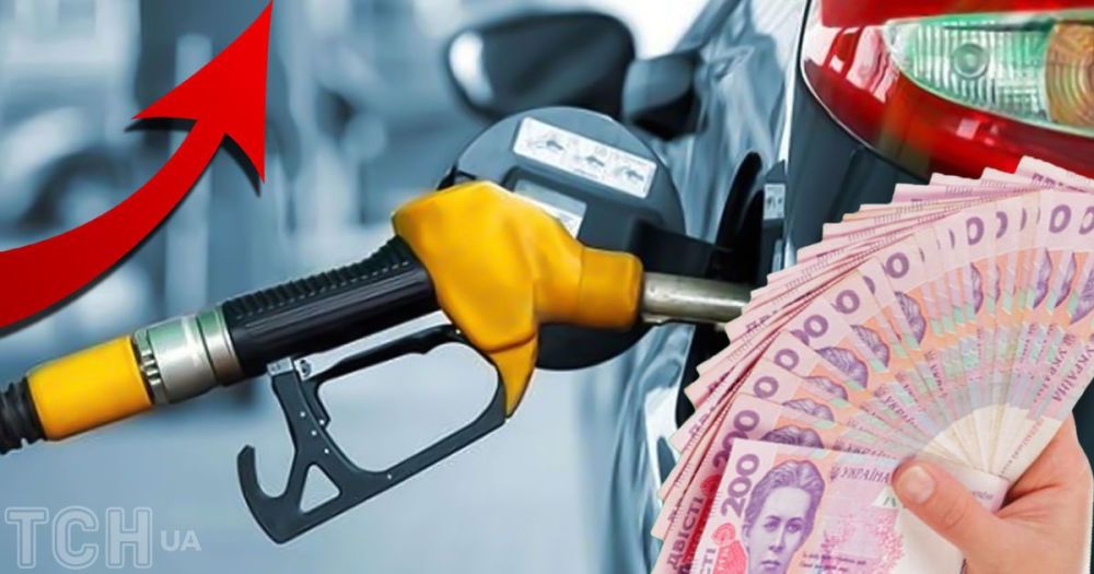 3469_f78812ff0139f1f05803b9cde47d_2ae04252.jpeg (72.81 Kb)