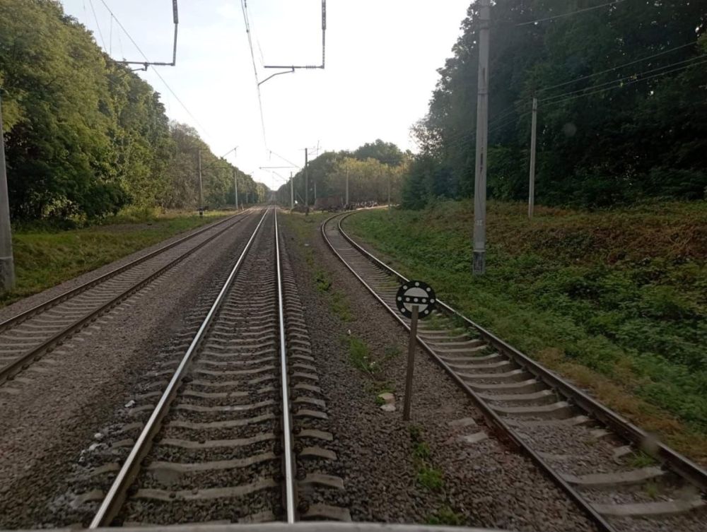 3770_4352670_64f43108.jpg (129.22 Kb)