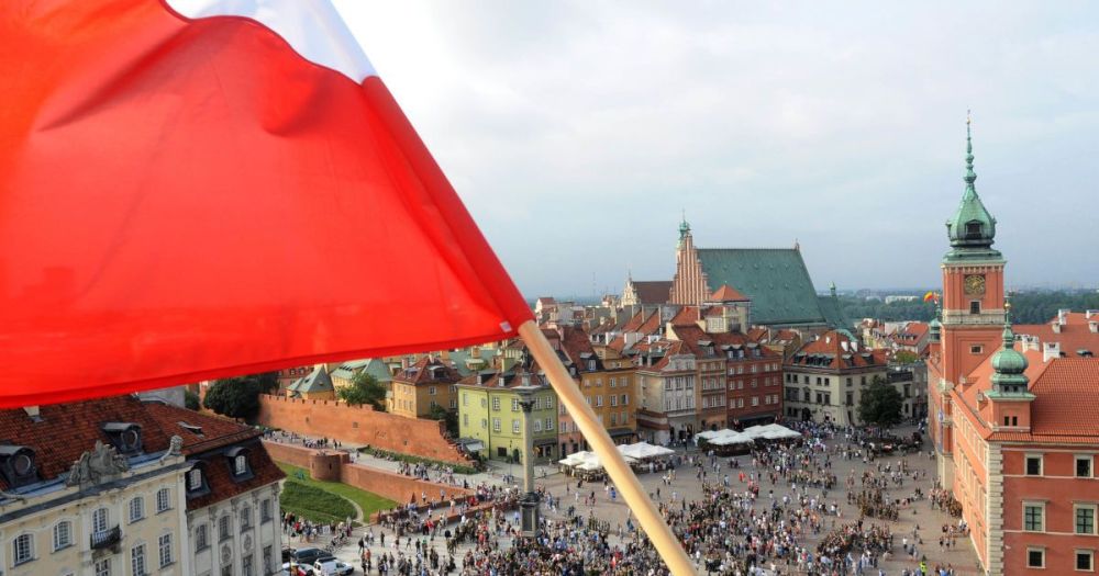 3778_68d5432803780ed60080d202ae224442_9758af1f.jpeg (84.08 Kb)