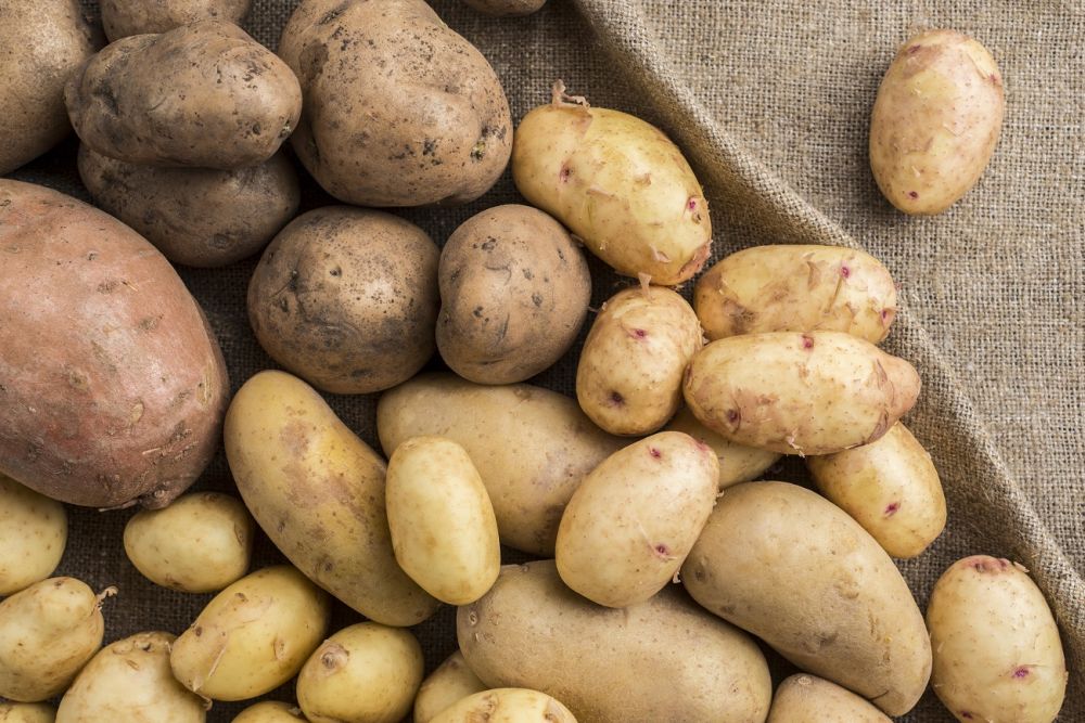 3976_high-angle-raw-potatoes_dfedf900.jpg (140.37 Kb)