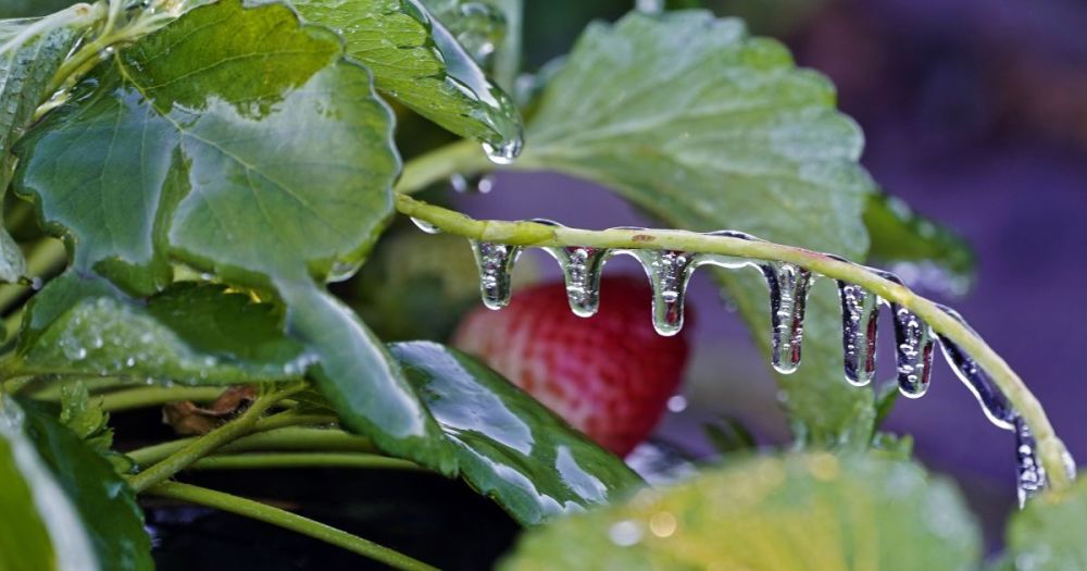 47_9f761b84bfa855552e92e8a42243f416_fdaa8aea.jpeg (69.88 Kb)