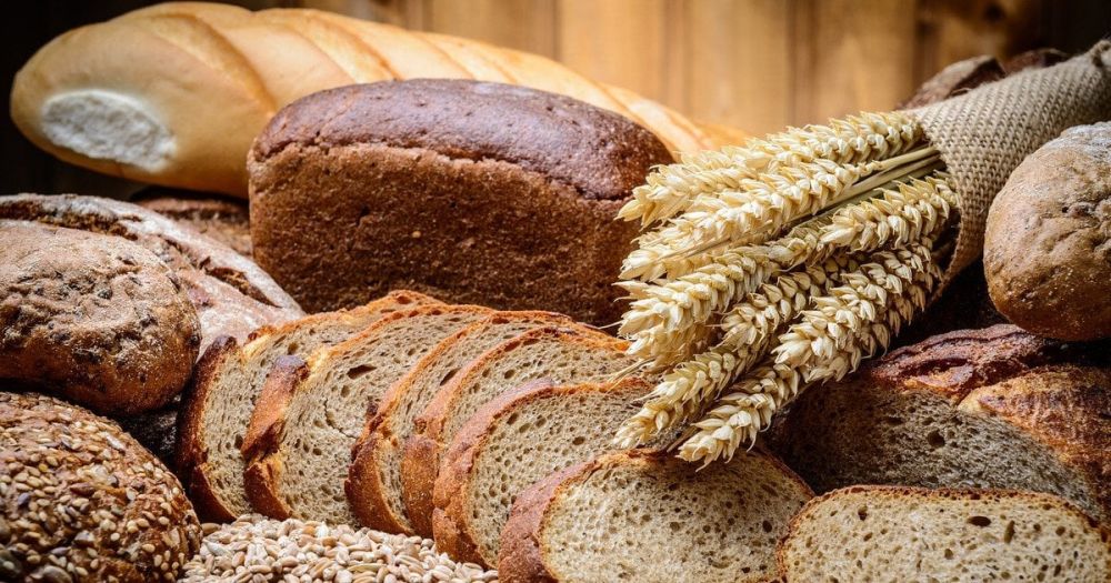 90_3d817644d60a0dba2e741fe11a24a6_aca16683.jpg (150.74 Kb)