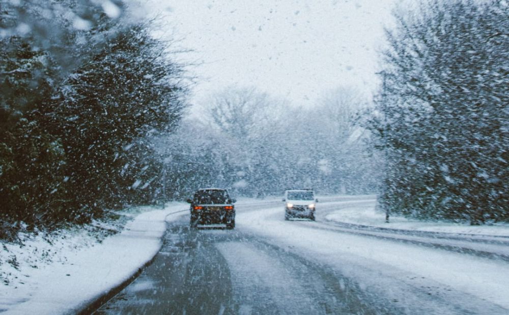 5253_gallery-photo_17300717.jpg (118.73 Kb)