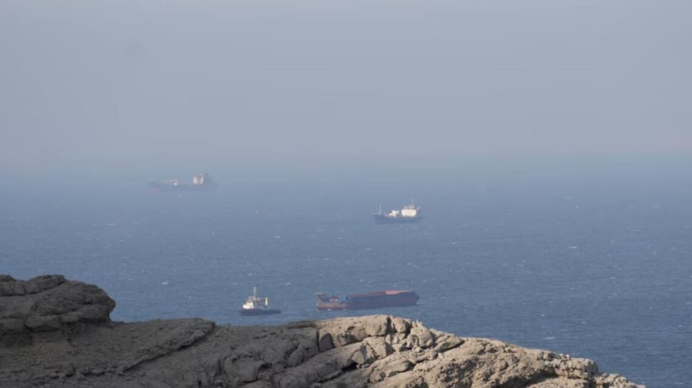 6067_235371-1_large_470ddcd6.jpg (37.55 Kb)