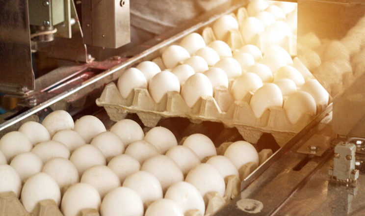 6201_yajczya31_1a65f200.jpg (99.8 Kb)