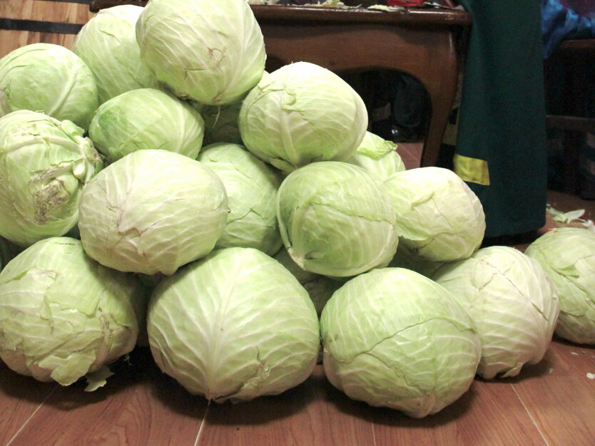 7251_ss_871b5536.jpeg (100.21 Kb)