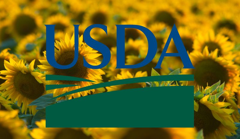 7459_usda-sunflower_2f6ea073.jpg (50.9 Kb)