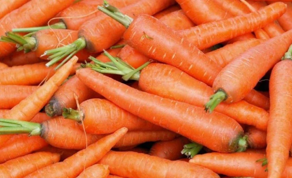 9427_morkva_73341f3a.jpg (86.6 Kb)