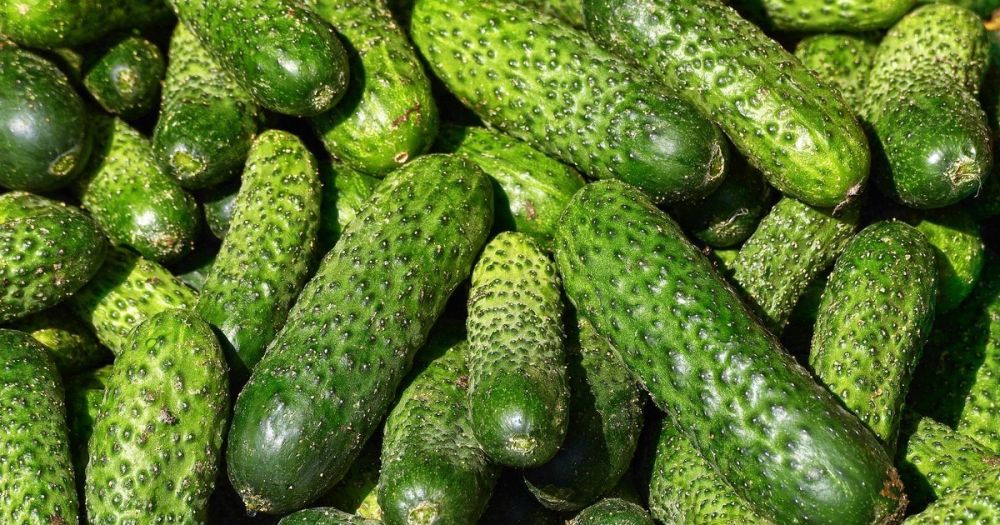 9841_1200x630_1_ac729eca.jpg (165.63 Kb)