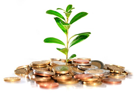 1611_4621_coins_tree.jpg (35.75 Kb)