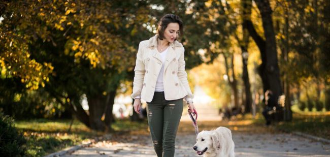 3921_girl-with-dog1303-4611.jpg (42.39 Kb)
