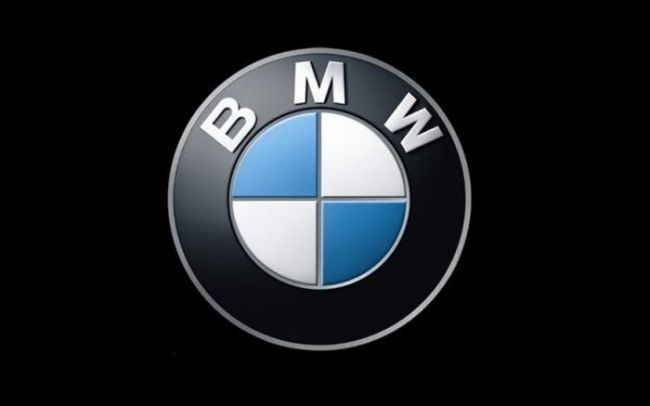 4554_bmw_presentlogo_fig1.jpg (15.17 Kb)