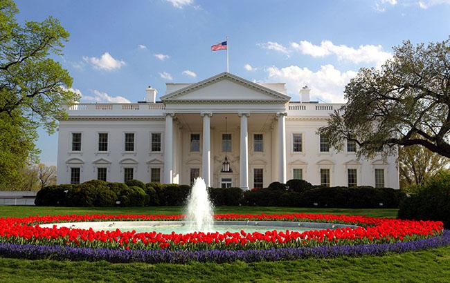 92__dom_nsf_gov_2_1_650x410.jpg (59.7 Kb)